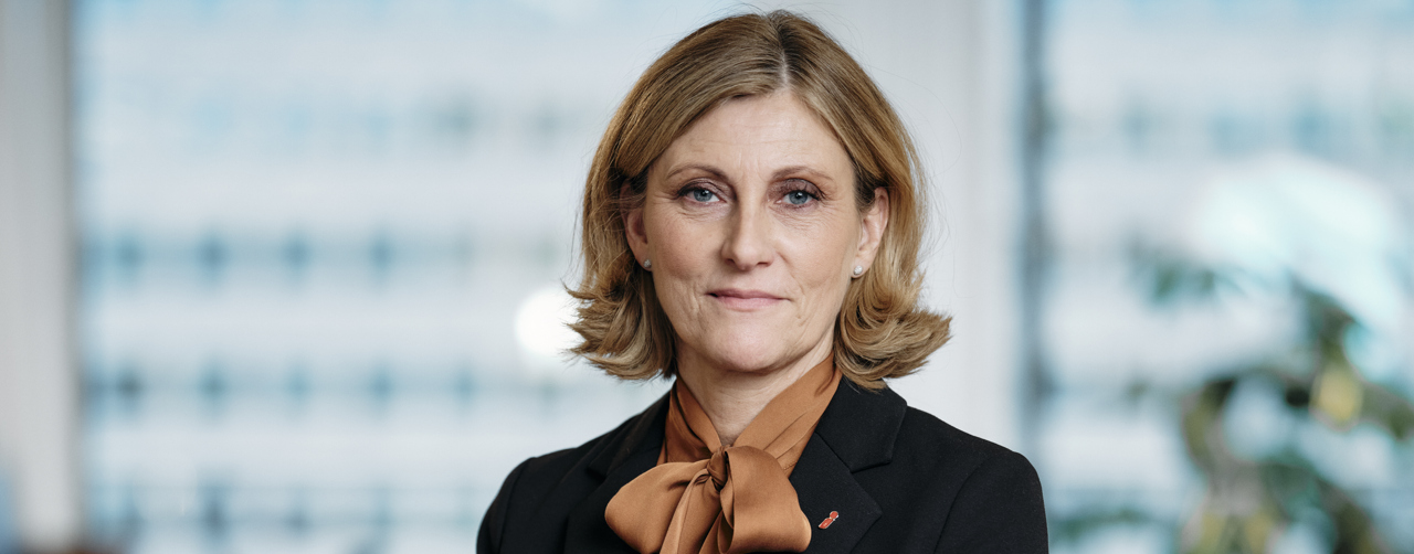Elisabet Åbjörnsson Hollmark, SiS generaldirektör 