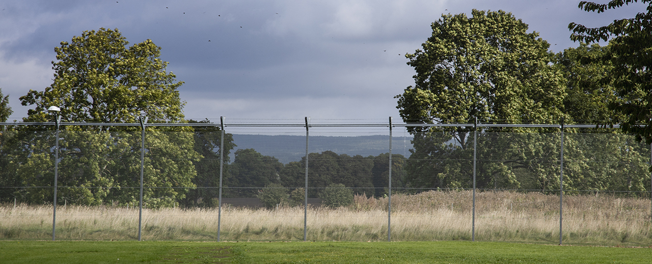 Bild på stängsel med träd bakom