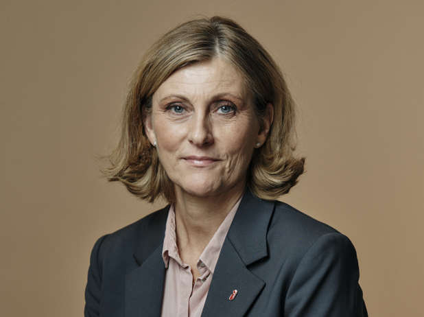 Elisabet Åbjörnsson Hollmark, Generaldirektör